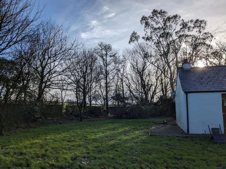 Molly'S Cottage Larne Exteriér fotografie